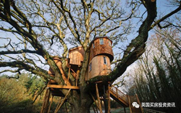 树上“城堡”Treetops Treehouse