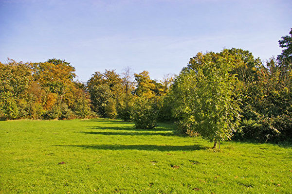 考克福斯特斯的特伦特公园（Trent Park），占地面积约413英亩（167公顷），公园内有精致的湖泊、古老的森林、壮观的历史遗迹和被列为英国保护建筑的建筑遗址。